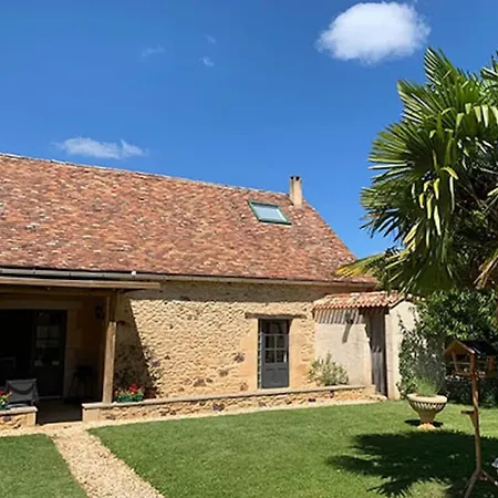 Au Coin Des Arbres - Palmier *