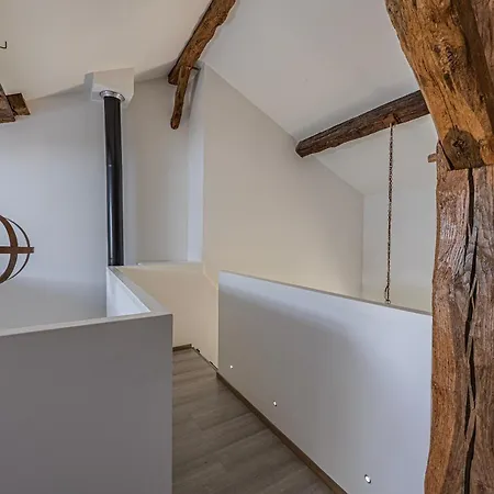 Au Coin Des Arbres - Palmier Biron