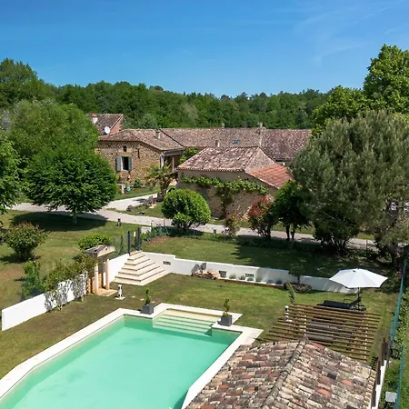 Au Coin Des Arbres - Palmier * Biron