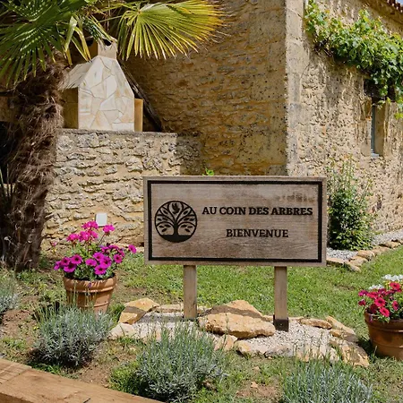 Au Coin Des Arbres - Palmier * Biron