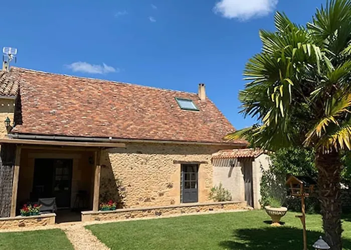Au Coin Des Arbres - Palmier *